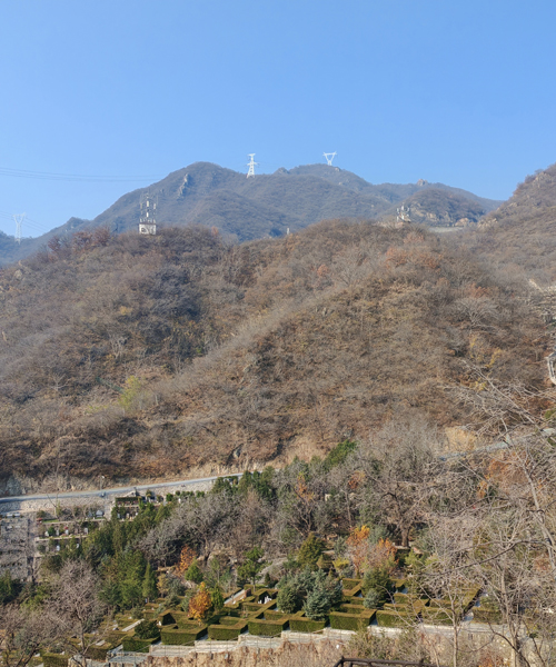 墓地景色