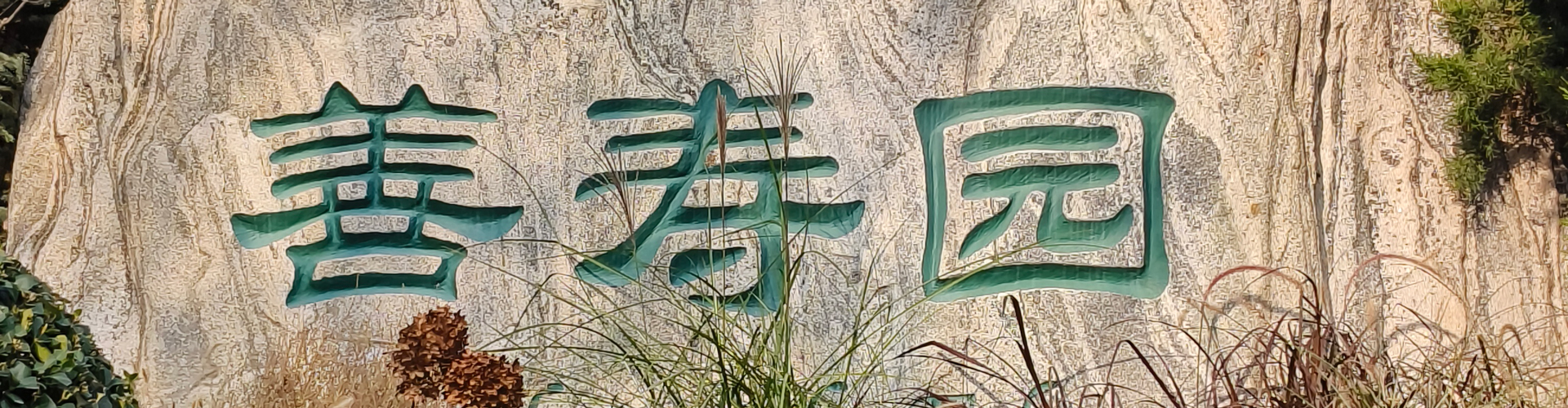 陵园景观